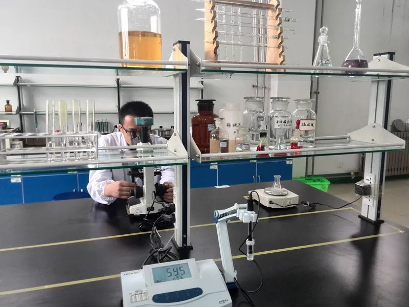 Laboratory