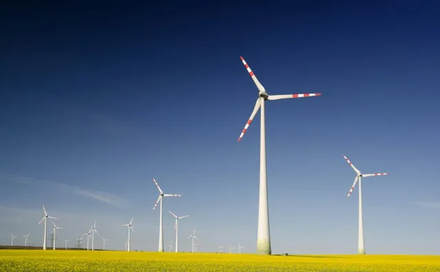 Bioenergy Industry