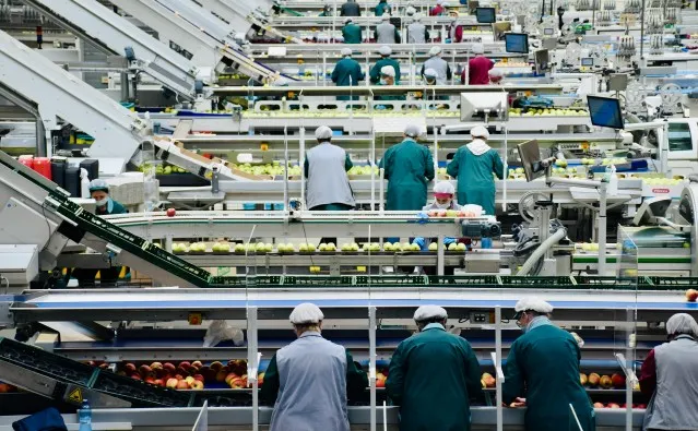 General Food Processing
