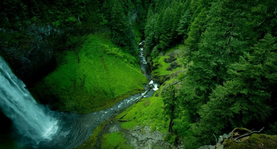 HEMU Drives Environmental Protection