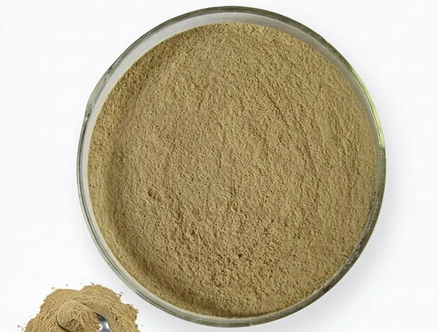 Why Choose HEMU Protease for Protein Digestion in Feed?