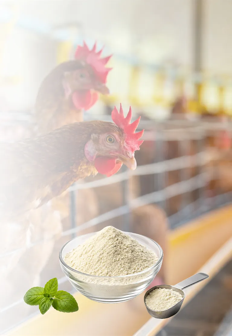 High-activity enzyme preparations crafted with cutting-edge biotech, delivering superior performance in food, feed, textile, and pharmaceutical industries.