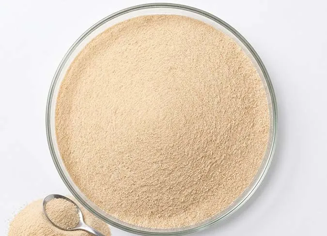 Bacillus Licheniformis