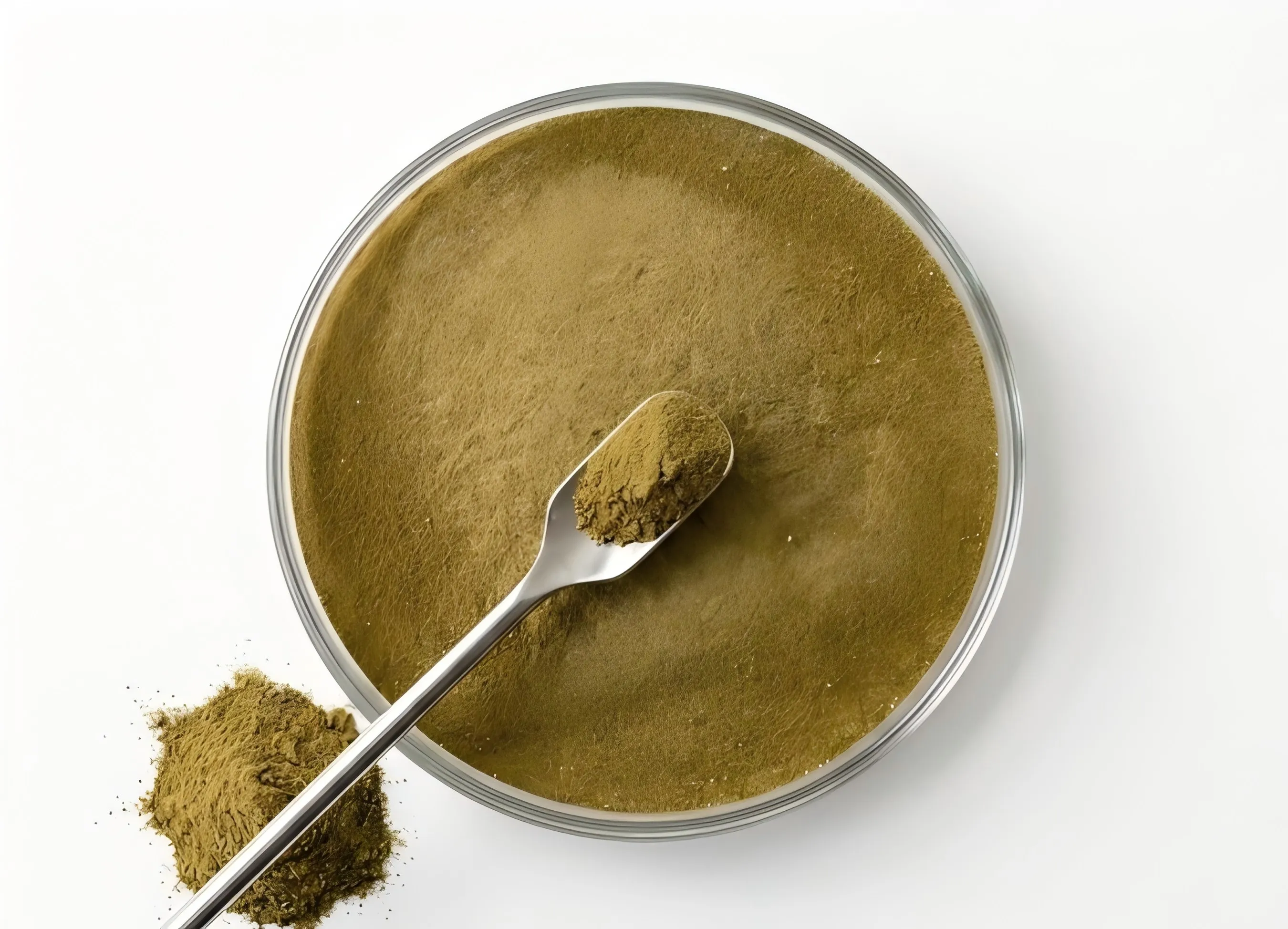 Alkaline Protease for Detergent