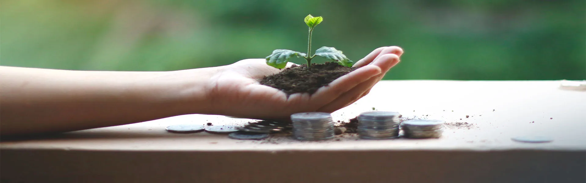 HEMU ESG & Sustainability